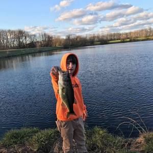 Meet your Posher, Harley